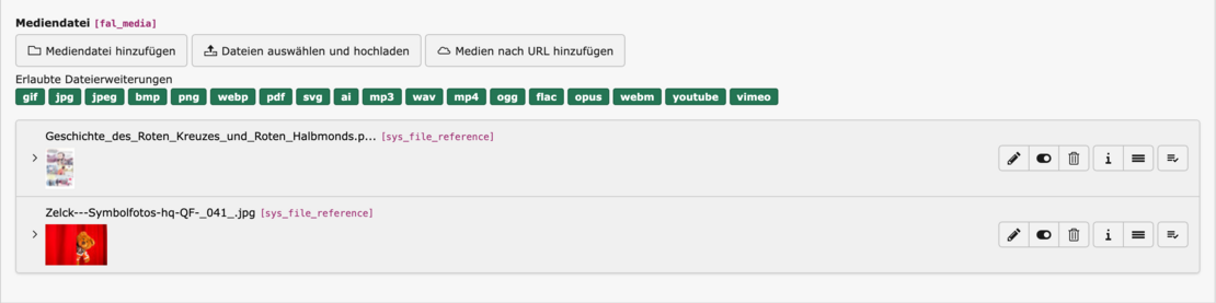 PDFs im Backend eingebunden